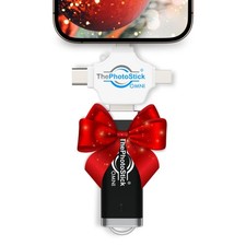 ThePhotoStick  Omni 128GB USB Flash Drive Memory Stick   Photo Video Backup...