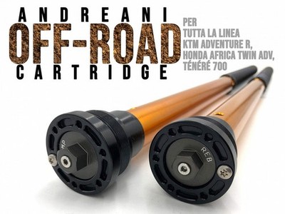 Cartridge Fork Andreani Rally Race Ducati Desert X - Height + 20MM 2022>