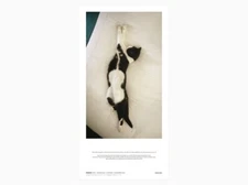 Perrotin x Sophie Calle -  Souris Calle