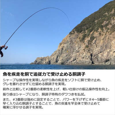 Daiwa Iso Rod Megathis AGS 1.75-50/ N (Spinning 5 Piece) | eBay