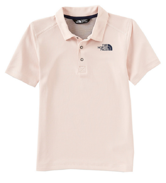 The North Face Boy's, Horizon Stripe Short Sleeve Polo, Pink