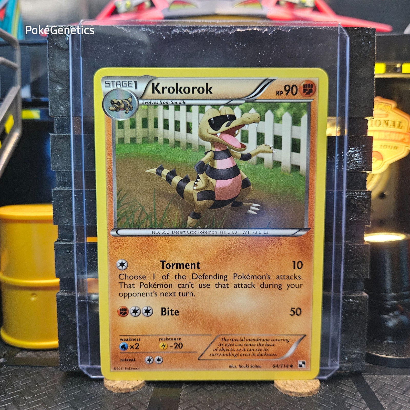 Krokorok Black & White Pokémon TCG 64/114 Uncommon
