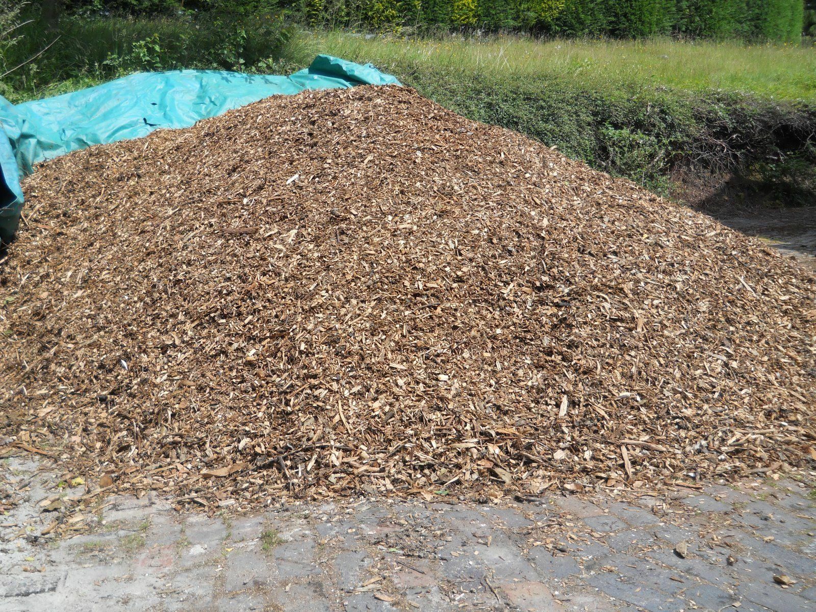 Wood Chippings similar to Bark Mulch Woodchip Garden Plants & Weed