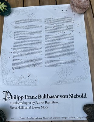 Onesheet Heft 2 Breitseite Kunstdruck von Siebold Fiona Hallinan Patrick Bresniha