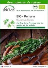 SAFLAX - BIO - Romarin - 40 graines - Avec substrat - Rosmarinus