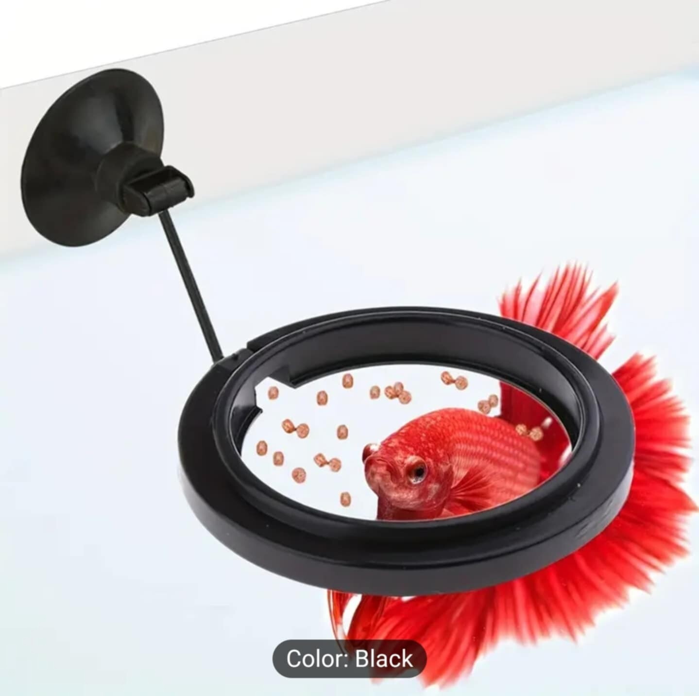 Anello Alimentazione Pesci Con Ventosa Acquario Serbatoio Galleggiante Alimentatore