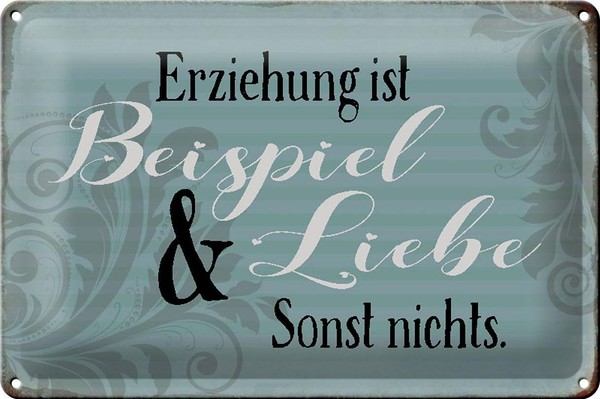 Blechschild Spruch 30X20Cm Erziehung Ist Beispiel Und Liebe Deko Schild Tin Sign-image