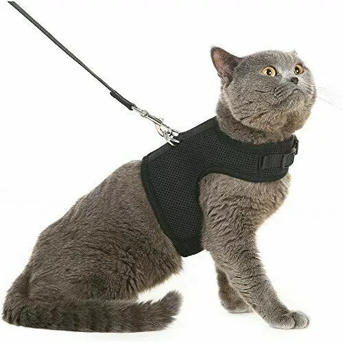 Cat Harness and Leash for Walking Escape Proof, Adjustable Cat Leash and