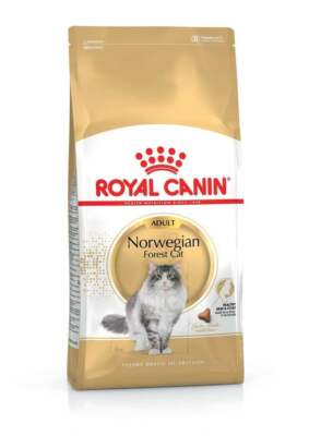 2kg ROYAL CANIN Norwegian Forest Cat Trockenfutter für Norwegische Waldkatzen