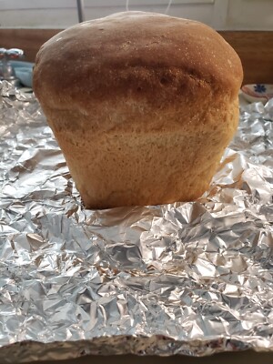 ALASKAN SOURDOUGH STARTER yeast SUPER ACTIVE REALLY SOUR (a)