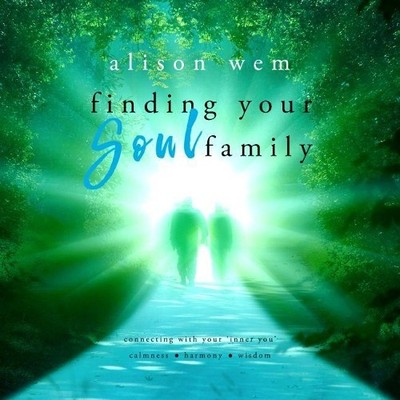 Alison Wem Finding Your Soul Family (Paperback) Your Soul Family (UK IMPORT)