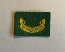 CNGEI Scout Distintivo Di Seconda Classe Esploratrice P/F ( Rif 00011)