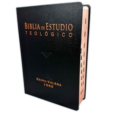 Biblia de Estudio Teológico Pastoral RV1960 ...