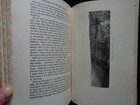 Foto 8 di 19
