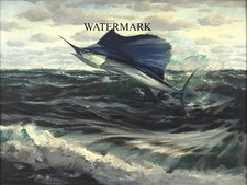 William Goadby Lawrence - Atlantic Sailfish Fish Fishing - 13x19 Print REPRO