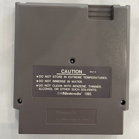 Solstice The Quest for the Staff of Demnos -(Nintendo NES, 1990) Tested / Works