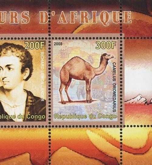 Congo África Explorador Jirafa Camello Animal Salvaje Hoja de 3 Estampillas MNH Foto 3 de 4