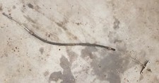 VW TRANSPORTER T5 2003-2015 LHD HANDBRAKE PARKING BRAKE CABLE 7H1711476C