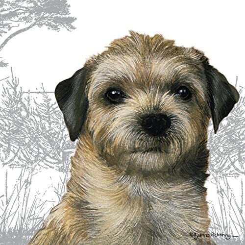 Border Terrier blank greetings card Pollyanna Pickering