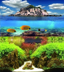 aquarium background paper
