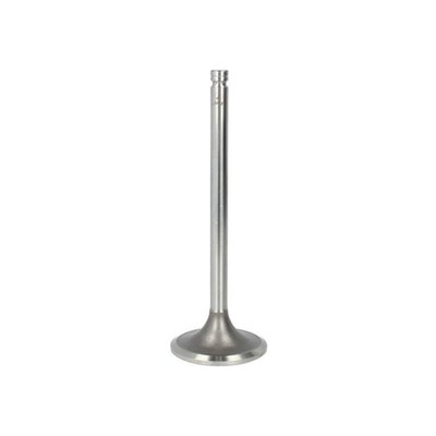 1x ORIGINAL  Paradowscy PCUM001 Einlassventil