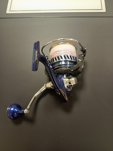 Daiwa Saltiga Expedition | eBay