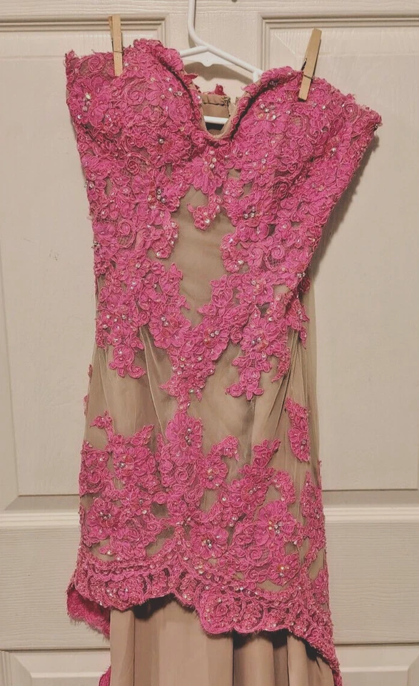 VESTIDO DE NOCHE FORMAL LARGO ENCAJE SHERRI HILL Rosa Desnudo 4 Stock Out Foto 3 de 4