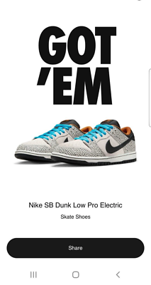 Size 10.5 - Nike SB Dunk Low Pro Electric Pack Olympic Safari