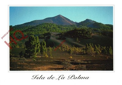 Ansichtskarte_ La Palma, Parque Nacional Caldera De Taburiente
