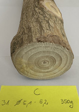 Gingko Holz zum Drechseln Schnitzen Basteln 31 x 5,1 cm