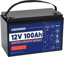 12V LiFePO4 100Ah Lithium Battery With Built-in 100A BMS For RV Solar Marine