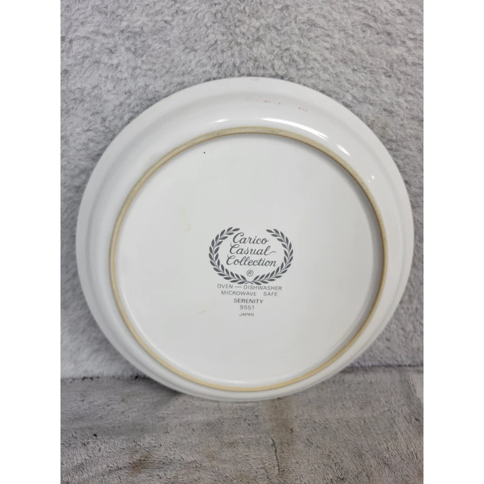 Carico Casual Collection Serenity 9551 Japón Juego de 4 Platos de Ensalada Postre Foto 3 de 4