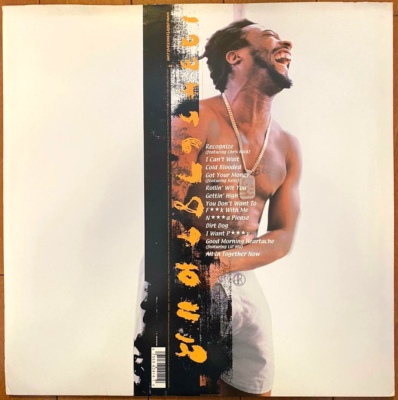 Ol' Dirty Bastard / N***a Please 1999 US originals 2LP Elektra