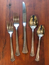 Oneida Spring Glen 5-Piece Place Setting Distinction Deluxe Stainless