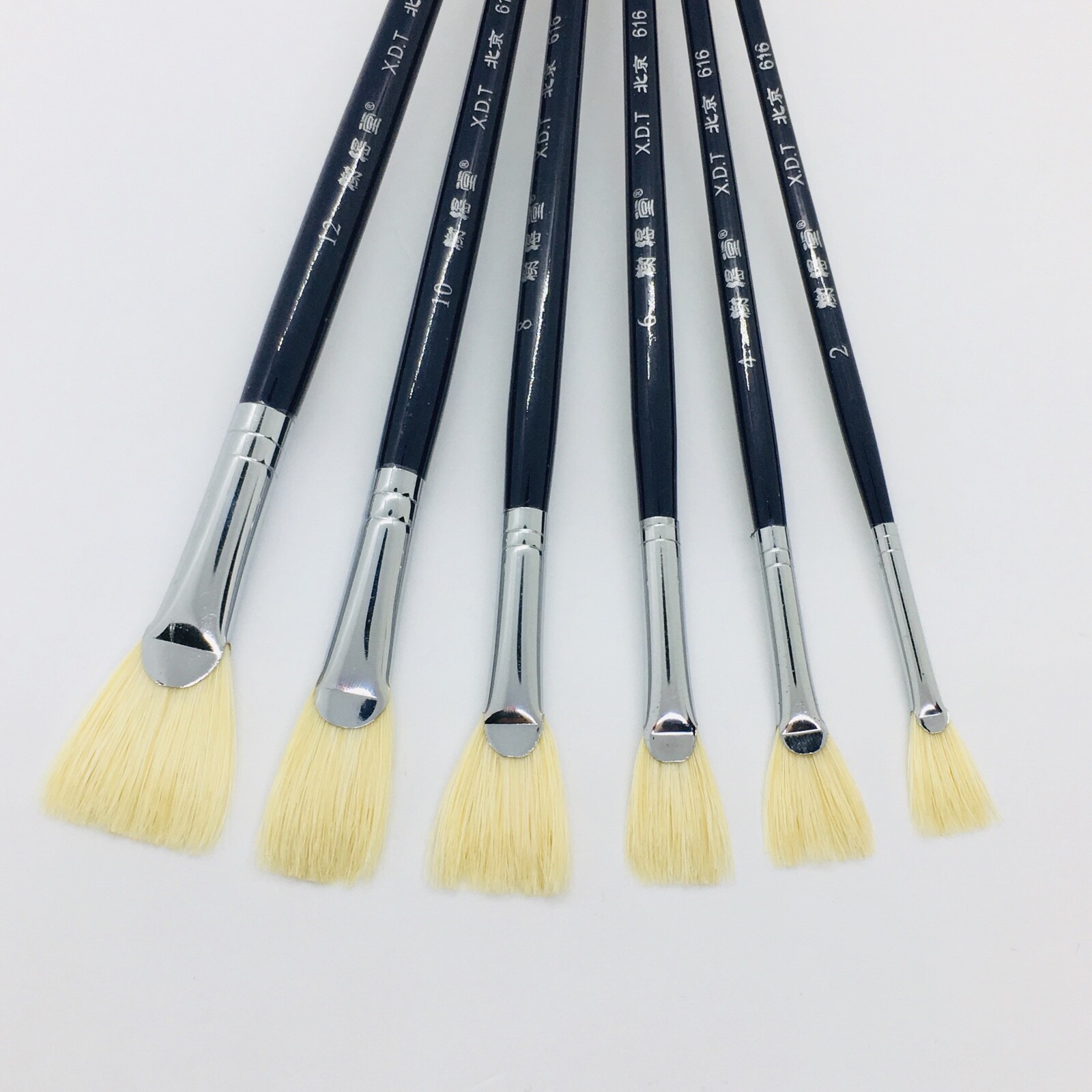 XDT6161 Fan Art Brush Set 6Pc 24681012 Hog Acrylic Oil
