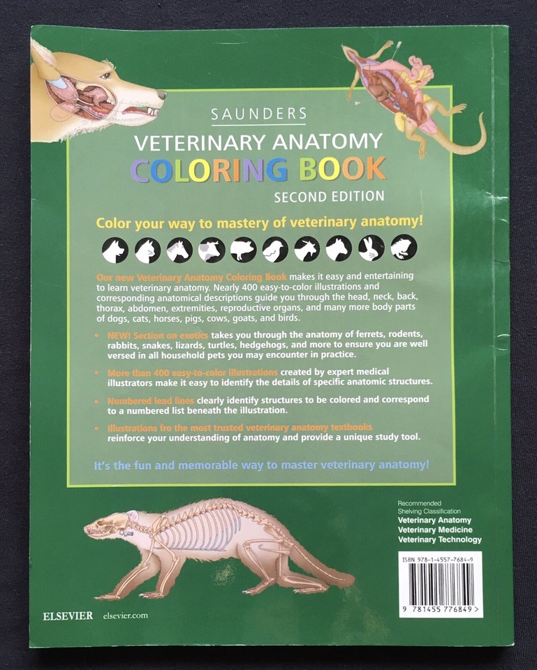 Sounders Veterinary Anatomy Coloring Book 2nd Second Edition - Singh ...