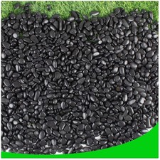 Polished Black Stones 18lb Natural Aquarium Gravel