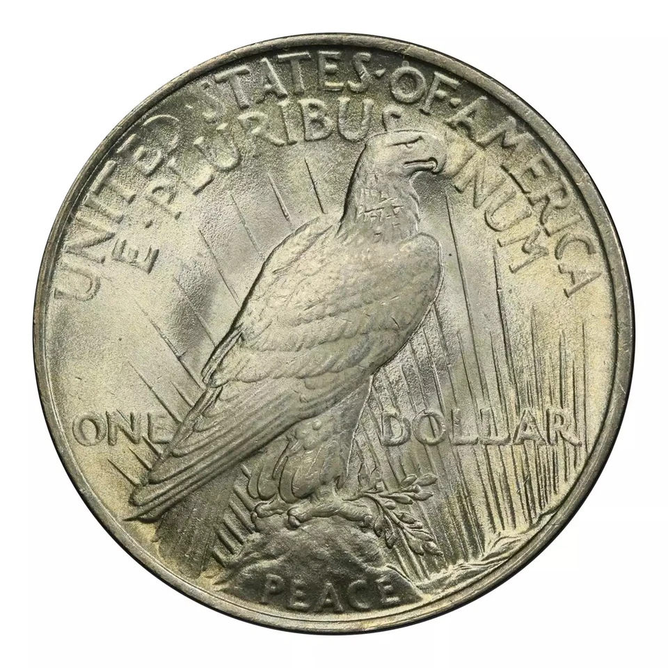 1923 Peace Dollar PCGS MS-66 CAC - Image 2 of 4