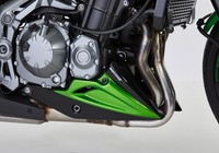 Bugspoiler Bodystyle FüR Kawasaki Z900 Bj. 2020-2023