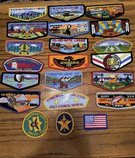 Lot Of 21 Vintage Scouting Lodge Flaps