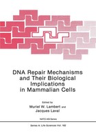 M. Lambert | Dna Repair Mechanisms And Their Biological Implications In...