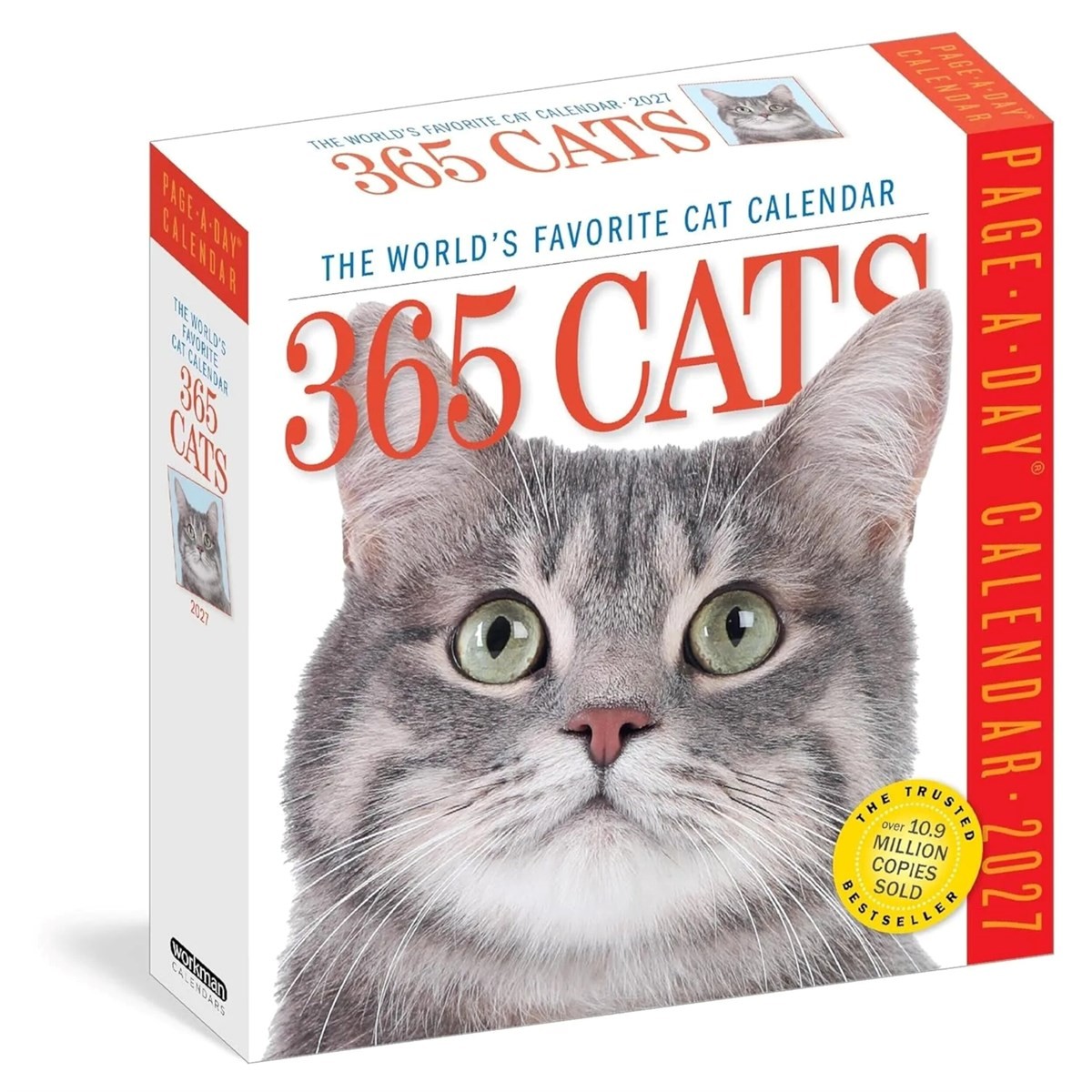 Rackhams 365 Days Of Cats Desk Calendar 2027, Desk Calendars, Day To View, Cats, Gift - Image 2