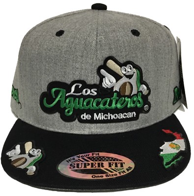 aguacateros de michoacan baseball