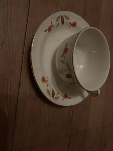 Hall Jewel Tea Autumn Leaf Ruffled D Flat Cup & Saucer Set