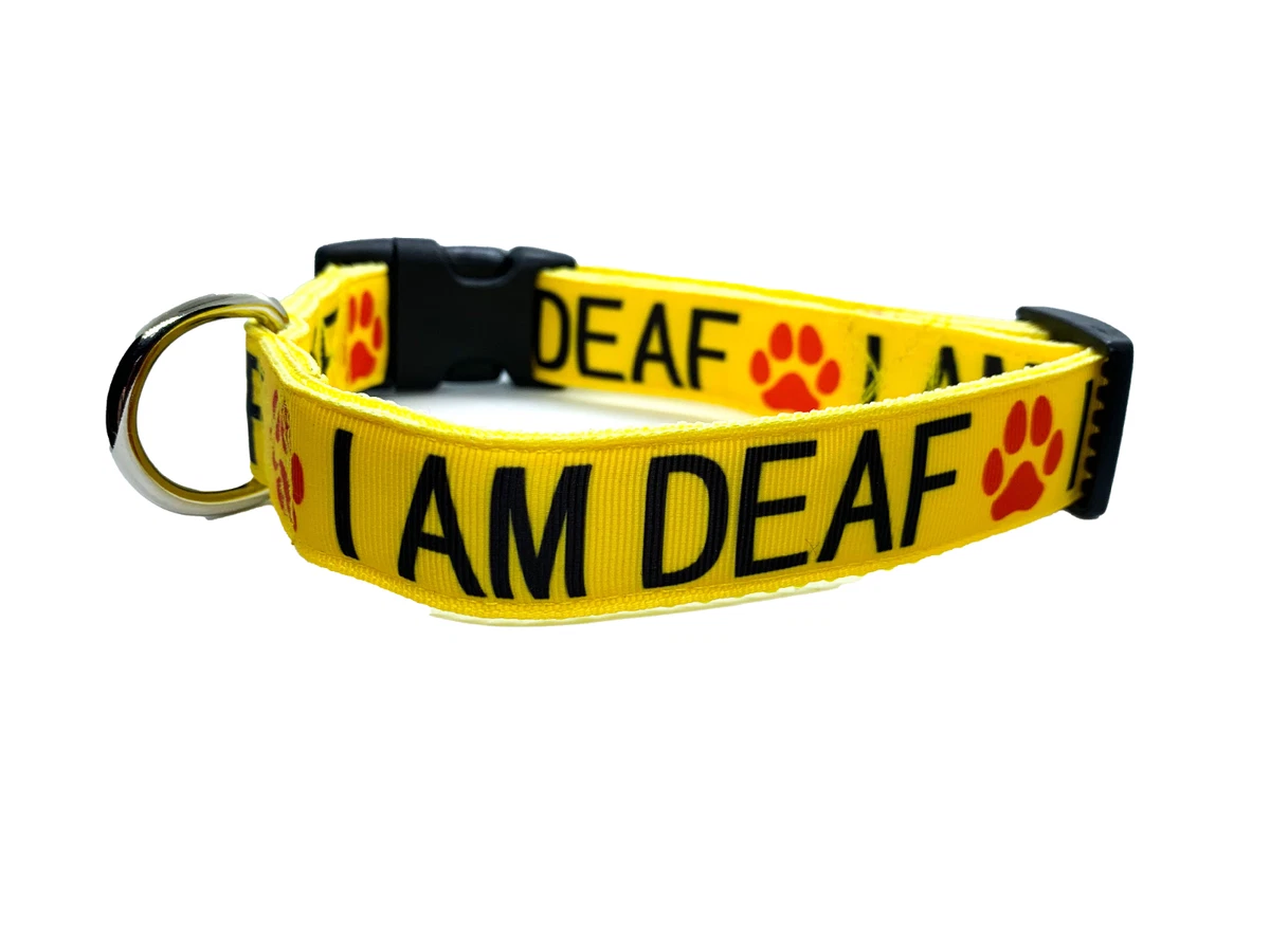 I am Deaf Custom Dog Collar Adjustable eBay
