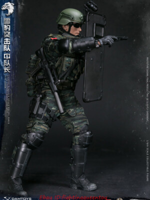 DAMTOYS 78053 CHINESE PEOPLE'S ARMED POLICE FORCE SNOW LEOPARD
