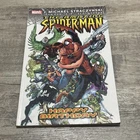 Amazing Spider-Man Vol. 6 Happy Birthday TPB 2004 J. Scott Campbell cover