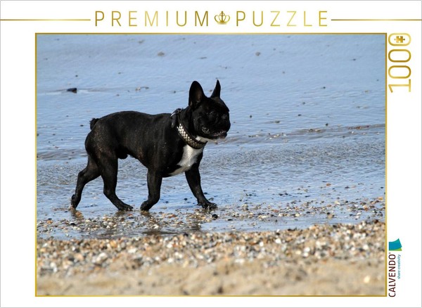 Calvendo Puzzle DOG ON THE Beach | 1000 Pieces, Finished Size 25.2 × 18.9 In (64-image