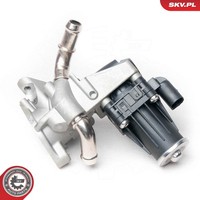 Esen SKV Agr-Ventil 14SKV100 FüR CitroËN Ford Land Rover Peugeot