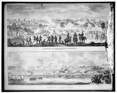 Battle of Resaca de la Palma Palo Alto 1846 Mexican-American War Print